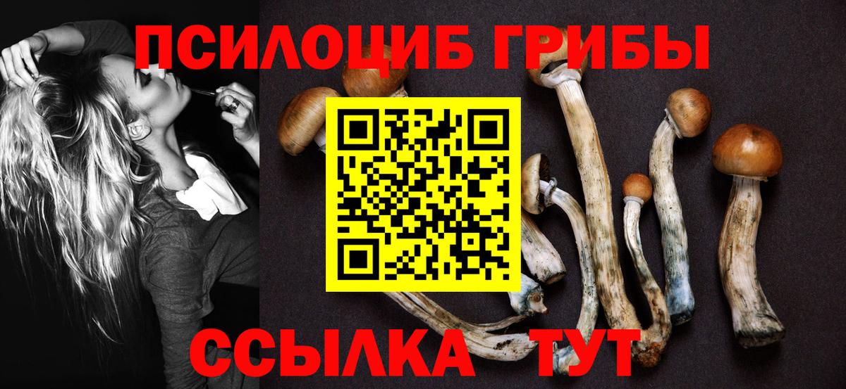 даркнет сайт  Галлюциногенные грибы ЛСД  Псилоцибиновые грибы Cubensis  Вход с VPN  Волжск 